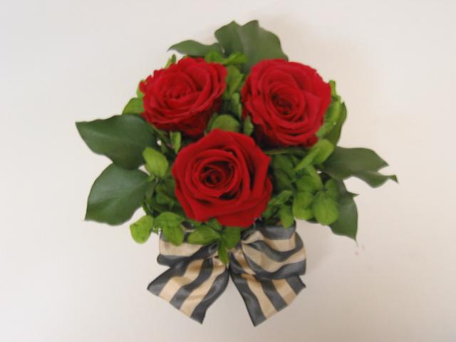 �}�C�t�F�A���f�B