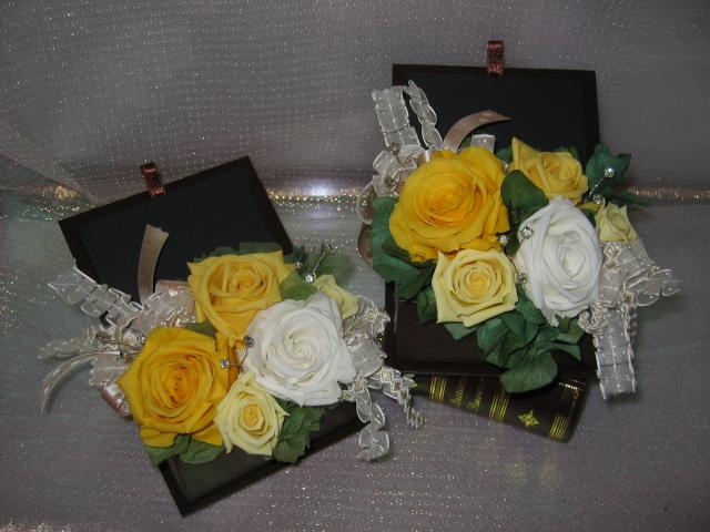 �f�B�N�V���i���[�t�����[