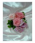 ��������q����̍�i