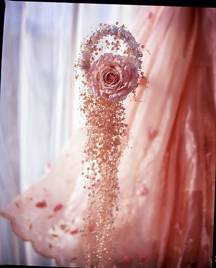 �����O�u�[�P(�v�����Z�X�G���K���X)