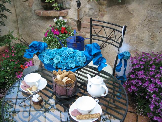 ���̃u���[