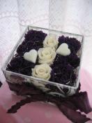 MOMO�t�����[�v�e�B�T�����J�Z�R�[�X�@���򂳂�̍�i