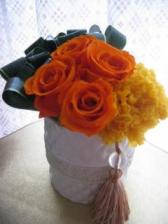 �X�^�C���b�V���@�p�����_��