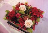 �l�e�c�r�}�X�^�[�E���i�擾�R�[�X�E�J�Z�R�[�X�E�f�U�C�i�[�R�[�X